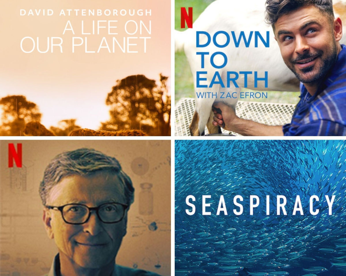 Some Netflix suggestions to help educate you on sustainability — Suusco