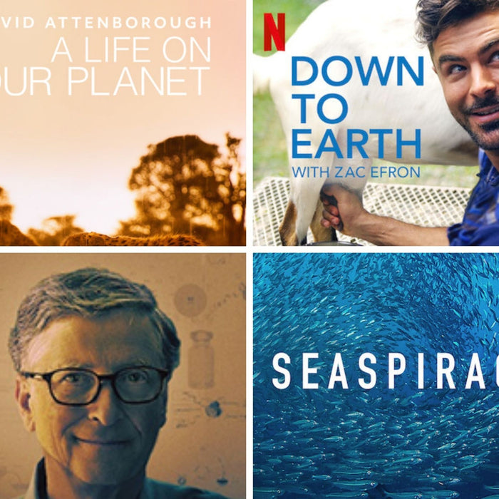 Some Netflix suggestions to help educate you on sustainability